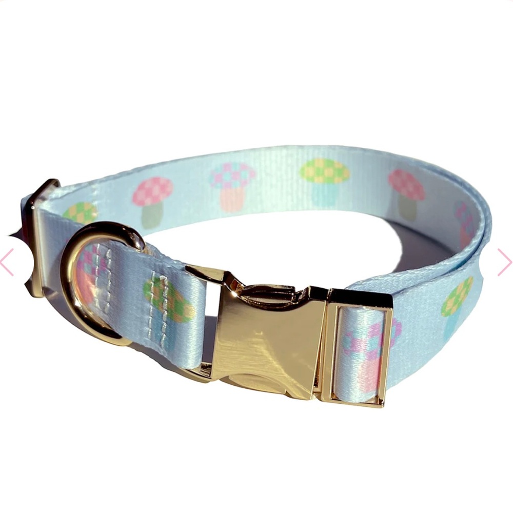 Frasier Sterling Shroomie Dog Collar in Size Small (up to 20.5”)